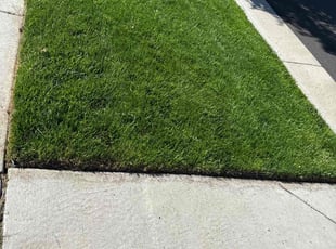 Betsy W.'s lawn service service result