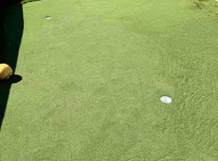 Timothy M.'s lawn service service result