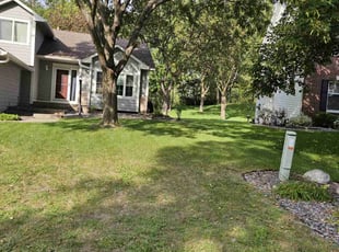 Sunyung S.'s lawn care service result
