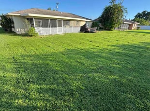 Tracey P.'s lawn maintenance service result