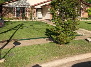 Janet B.'s turf care service result
