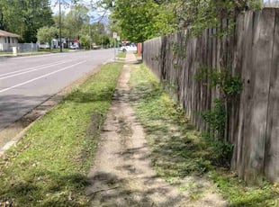 Ben A.'s turf care service result