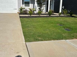 James T.'s grass maintenance service result