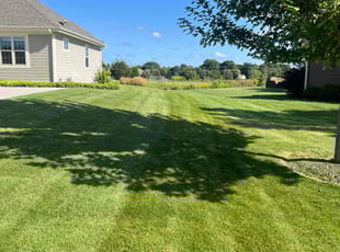 Rita B.'s turf maintenance service result