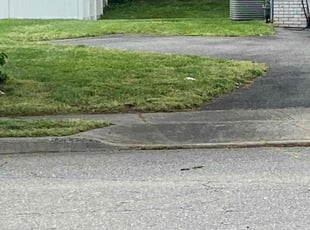 Sean J.'s grass maintenance service result