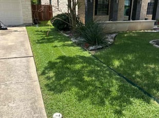 Colleen A.'s grass cutting service result