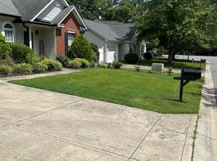 Nick T.'s grass cutting service result