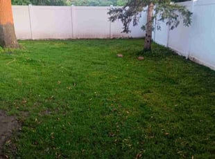 Larry J.'s lawn service service result