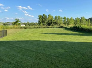 Debra P.'s grass maintenance service result