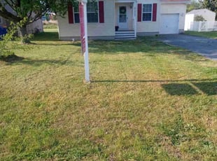 Robert B.'s turf maintenance service result
