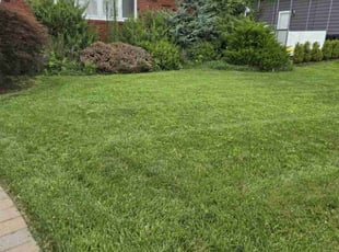 Beverly C.'s lawn maintenance service result