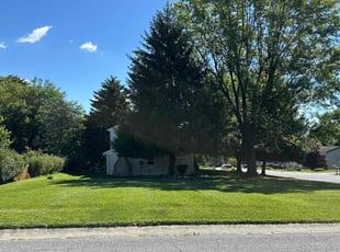 Sharon W.'s lawn maintenance service result