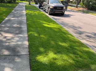 Joshua S.'s lawn care service result
