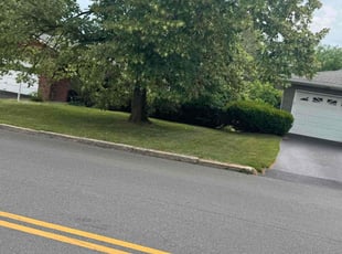 Wanda G.'s Bush Trimming service result