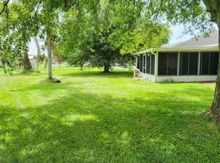 Nicole B.'s grass cutting service result