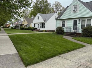 Steve T.'s lawn care services service result