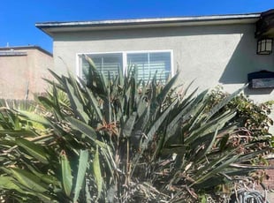 Chris S.'s Bush Trimming service result