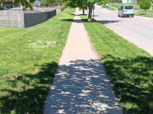 Gaye S.'s lawn care service result