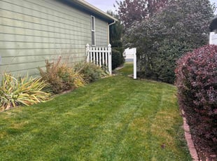 Jennifer G.'s grass maintenance service result