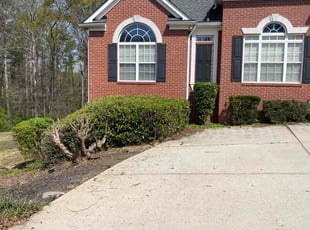 Karlene D.'s Bush Trimming service result