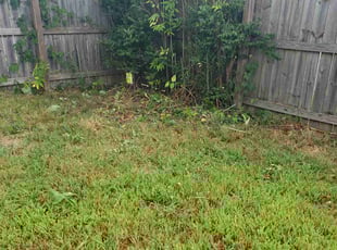 Geok K.'s Bush Trimming service result