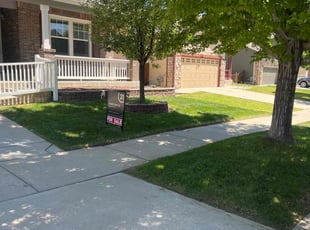 Chelsey K.'s grass maintenance service result