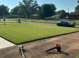 Joatta D.'s yard maintenance service result