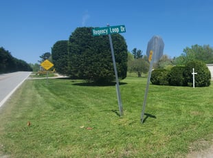 Brandon M.'s Long Grass Cleanup service result