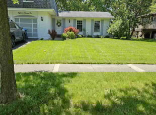 Ilke T.'s grass cutting service result