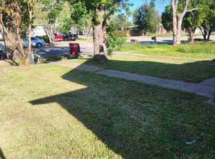 Lisa W.'s lawn care services service result