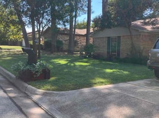 Karen G.'s turf care service result