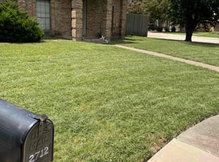 David H.'s turf care service result