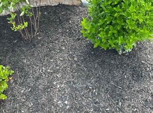Christopher W.'s Flower Bed Weeding service result