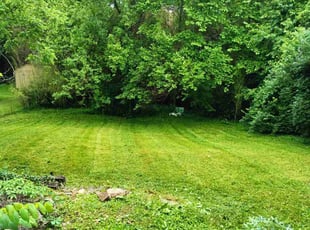 Chuck W.'s lawn care service result