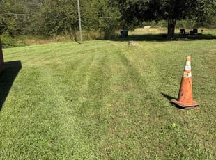 Ingra D.'s grass maintenance service result