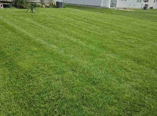Terri B.'s lawn maintenance service result