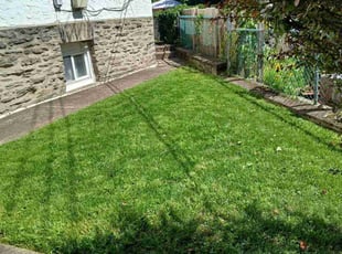 Ivette D.'s lawn care services service result