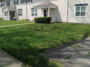 Kelly E.'s lawn care service result