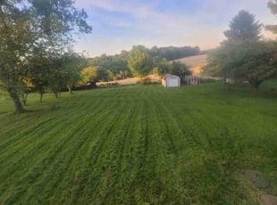 Joel O.'s Long Grass Cleanup service result