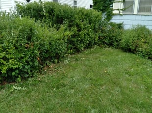Ernest K.'s Bush Trimming service result