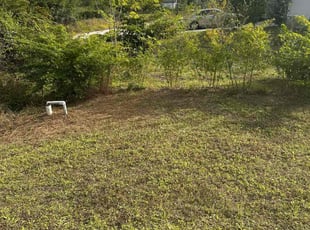 Paul K.'s lawn maintenance service result