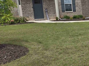 Jordan J.'s lawn maintenance service result