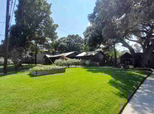 Devon H.'s turf care service result