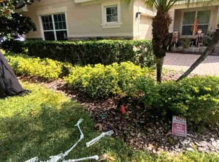 Moe V.'s turf maintenance service result