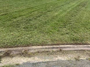 Christine S.'s turf care service result