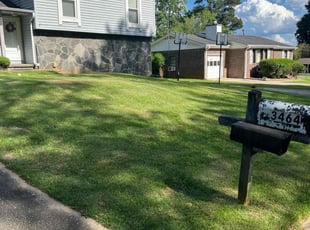 Lisa H.'s lawn care services service result