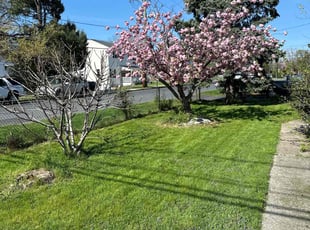 Rashanda S.'s grass maintenance service result