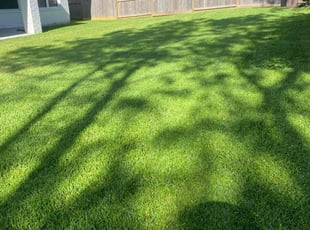 April C.'s turf care service result