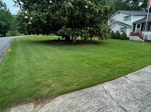 Brandon P.'s lawn service service result