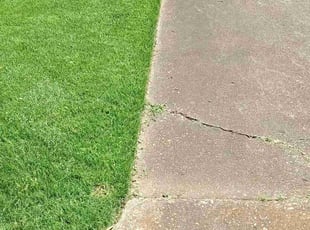 Mari-Sunshine C.'s turf maintenance service result